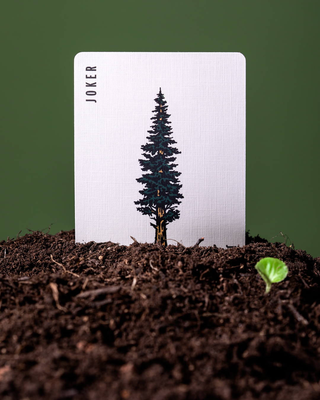 Jeu de cartes Smokey Bear