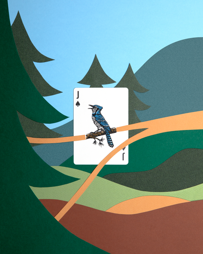 Jeu de cartes Smokey Bear