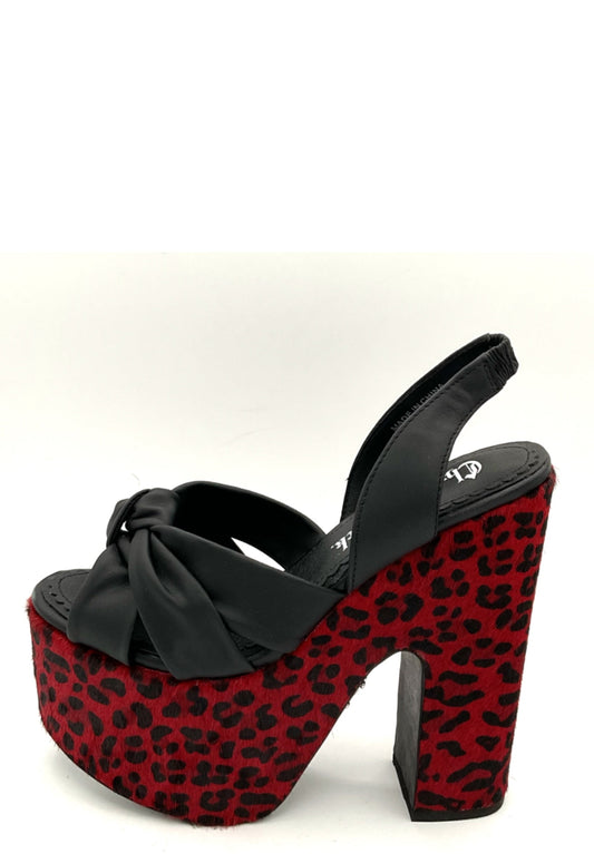 Piattaforma Lusterous Leo