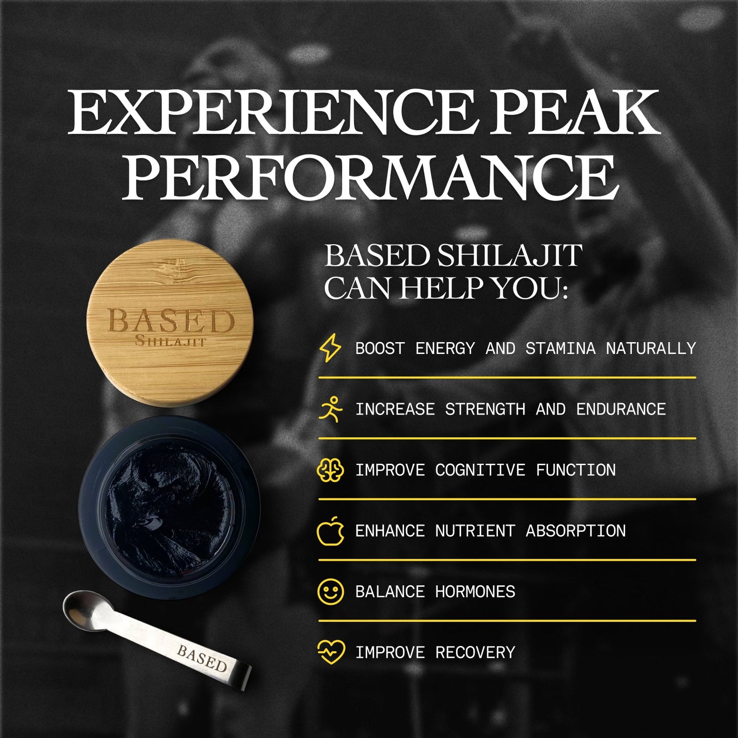 Shilajit Resina
