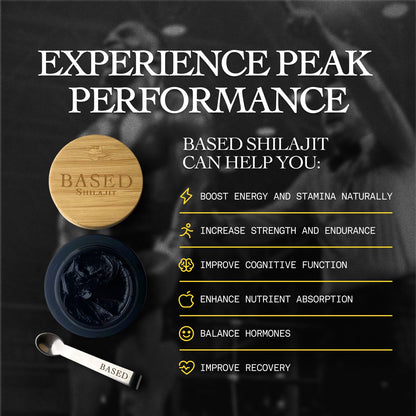 Shilajit Resina