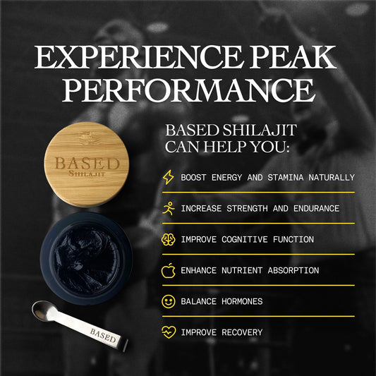 Shilajit Resina