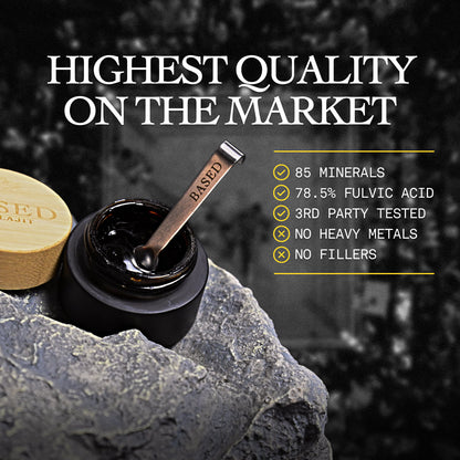 Shilajit Resina