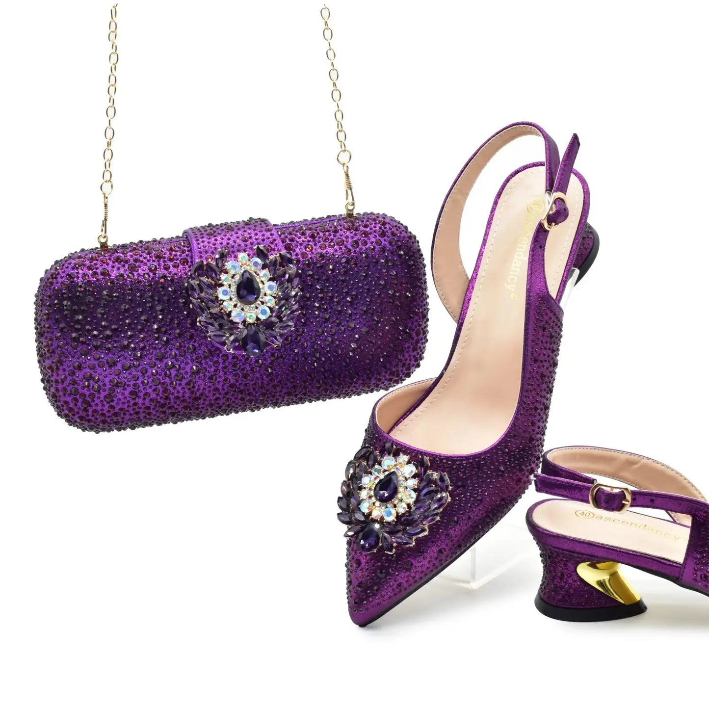Matching Women Shoe and Bag Set HAS1-1