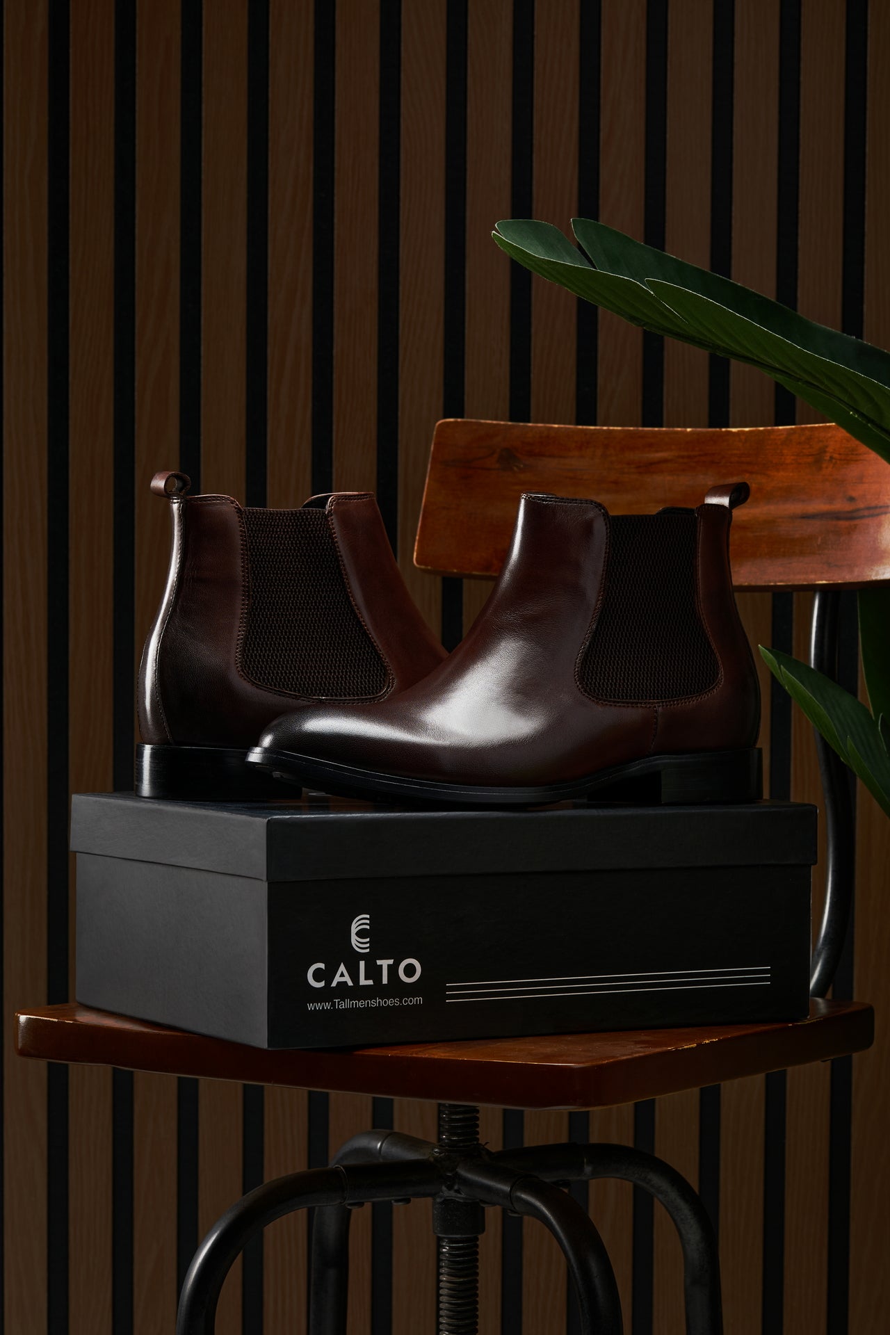 CALTO - Y72231 - 7 cm in più (Marrone Caffè) - Stivali Chelsea