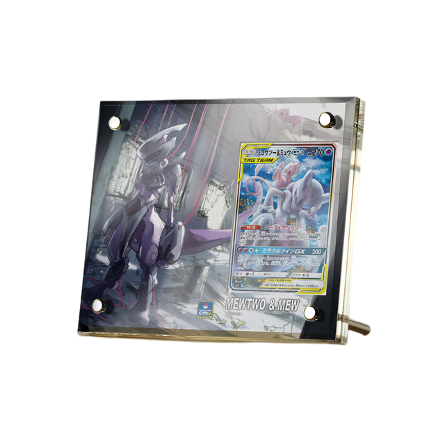 Supporto per esposizione in mattoncini per carte anime Pokémon PTCG