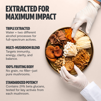 Integratore Mushroom Complex — 10 Funghi Funzionali per Immunità e Concentrazione