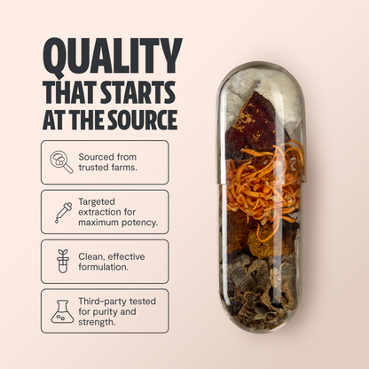 Integratore Mushroom Complex — 10 Funghi Funzionali per Immunità e Concentrazione