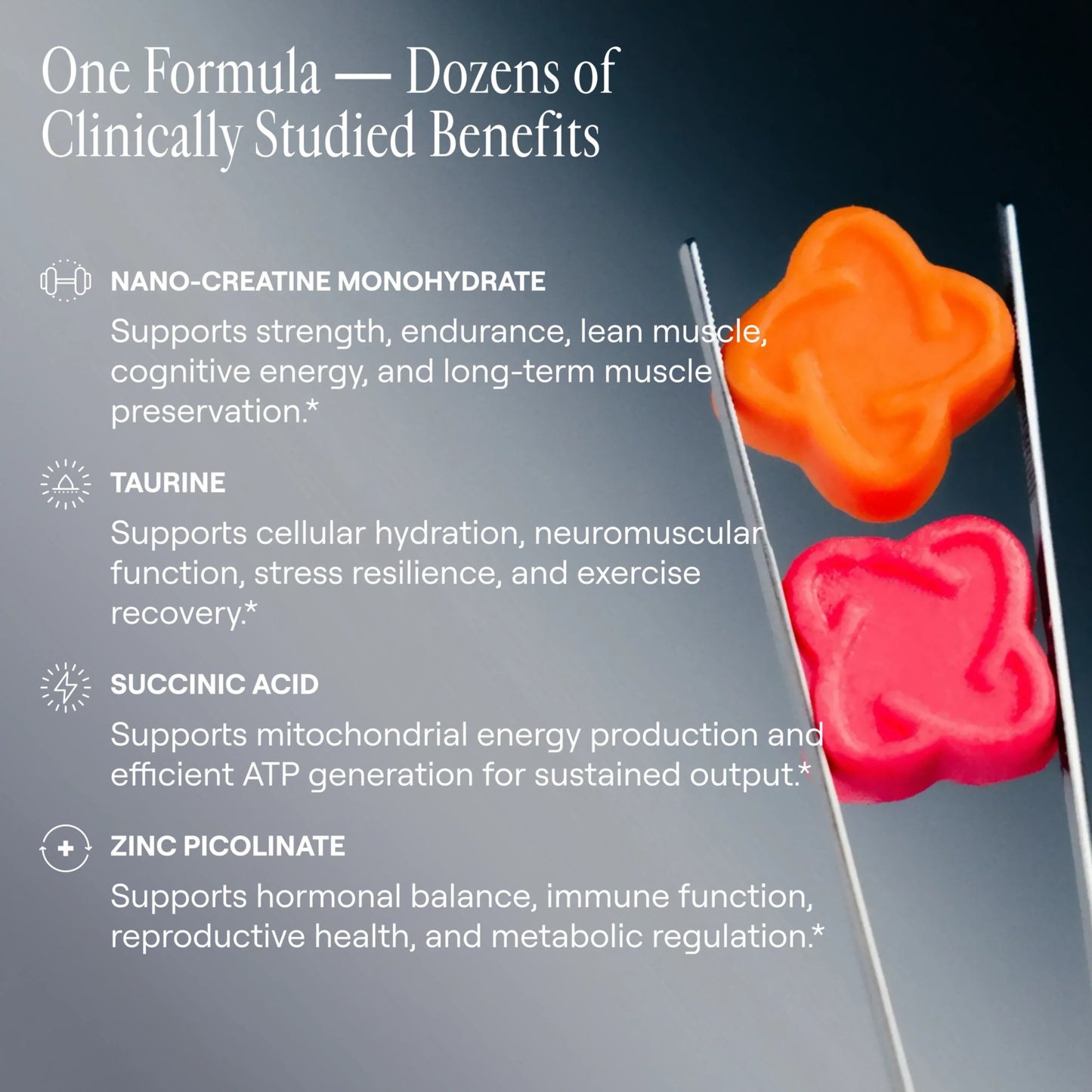 Caramelle Gommose di Creatina Monoidrato — Formula per le Prestazioni Senza Zucchero | Arq8™