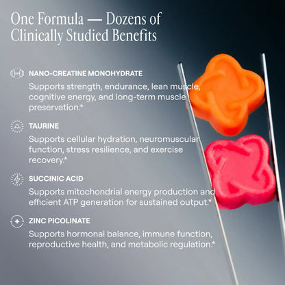 Caramelle Gommose di Creatina Monoidrato — Formula per le Prestazioni Senza Zucchero | Arq8™